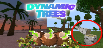 Dynamic Trees