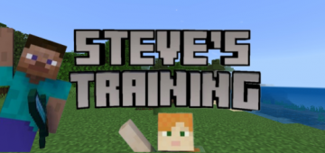Steve's Training