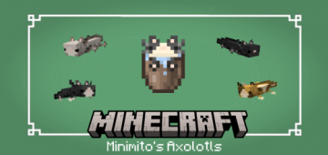 Minimito's Axolotls