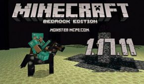 Minecraft 1.17.11