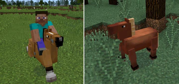 Horses - Minecraft PE