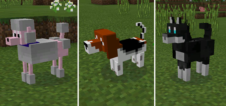 Doggy - Мод Minecraft PE