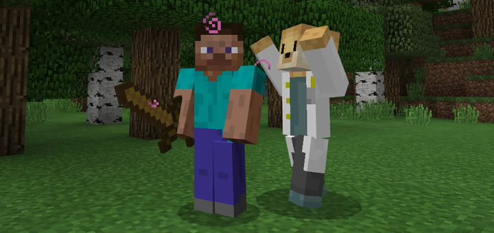 Doctor Doge - Мод/Аддон Minecraft PE