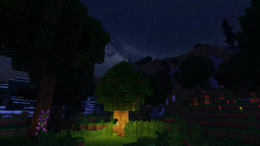 Шейдеры: Zebra