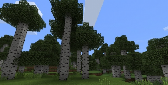 Редкий березовый лес - Сид PE