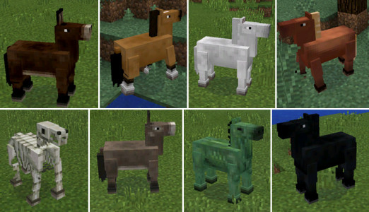 Horses - Minecraft PE