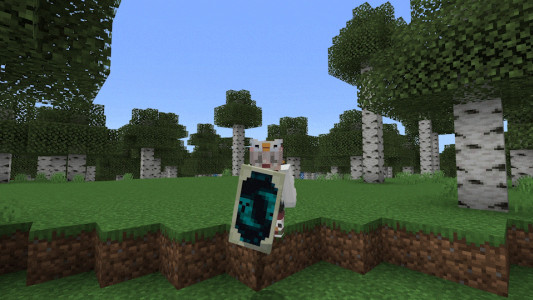 Мод: Щиты Lord Raiyon