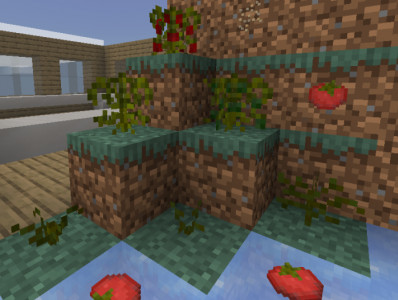 Мод: Дополнительные виды продуктов