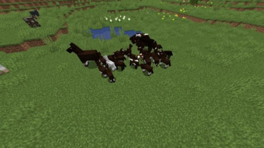 Minecraft PE 0.15.10 (Андроид)