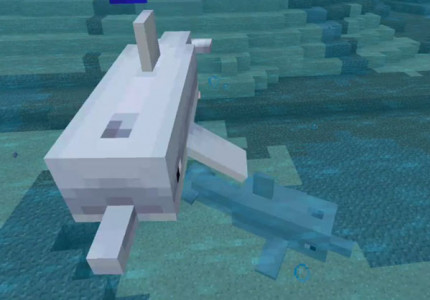 MCPE Beta 1.2.20.1 (Демонстрация) - Карта Minecraft PE