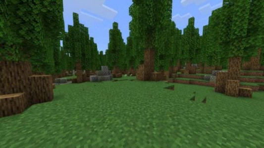 Мод: Больше возможностей