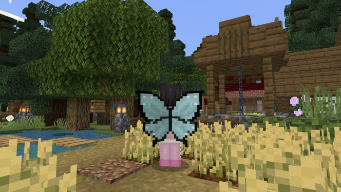 Мод: Крылья и аксессуары