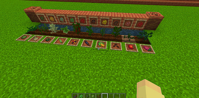 Мод: Новые виды овощей и фруктов